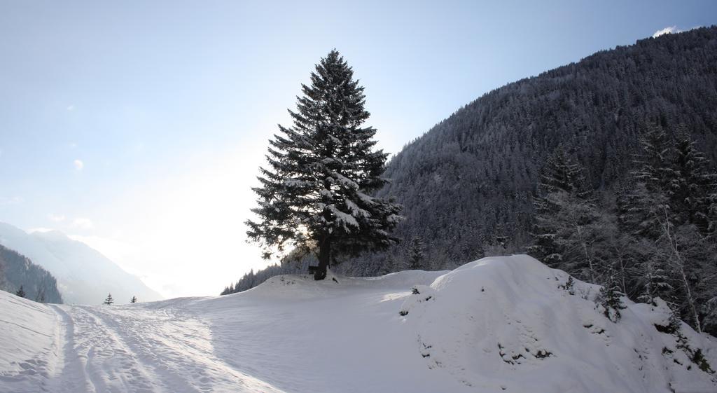 Apartments Haus Schoen - Preise Inclusive Pitztal Sommer Card Jerzens Eksteriør bilde