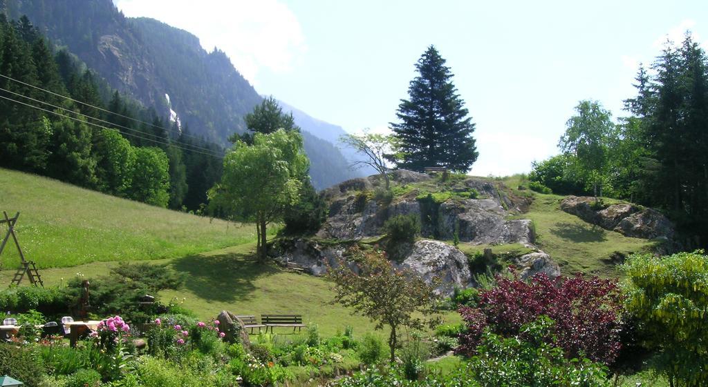 Apartments Haus Schoen - Preise Inclusive Pitztal Sommer Card Jerzens Eksteriør bilde