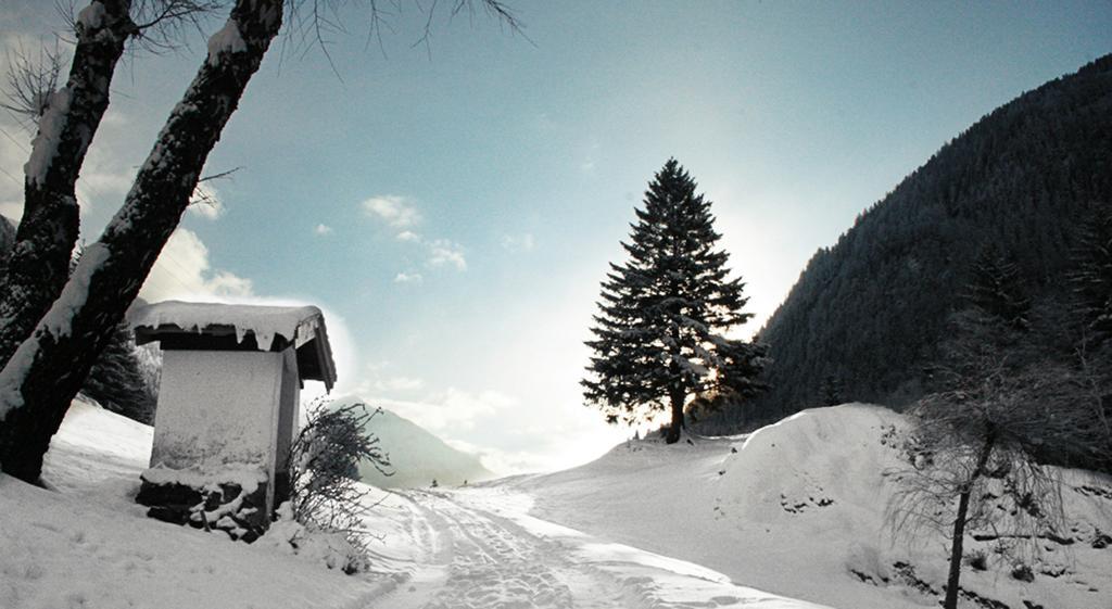 Apartments Haus Schoen - Preise Inclusive Pitztal Sommer Card Jerzens Eksteriør bilde