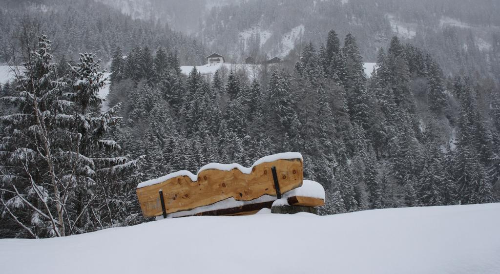 Apartments Haus Schoen - Preise Inclusive Pitztal Sommer Card Jerzens Eksteriør bilde